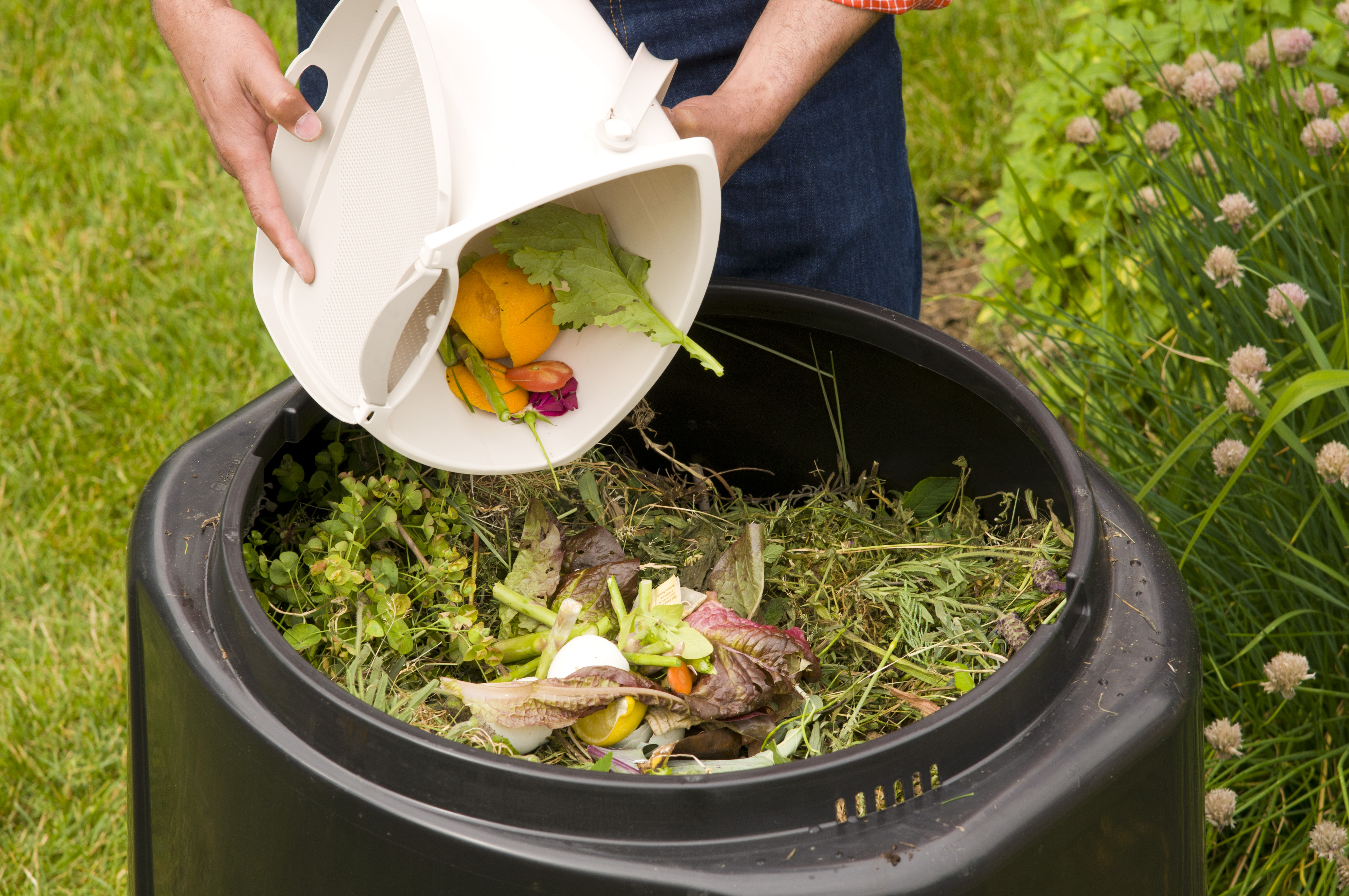 compost_methods_food_scraps